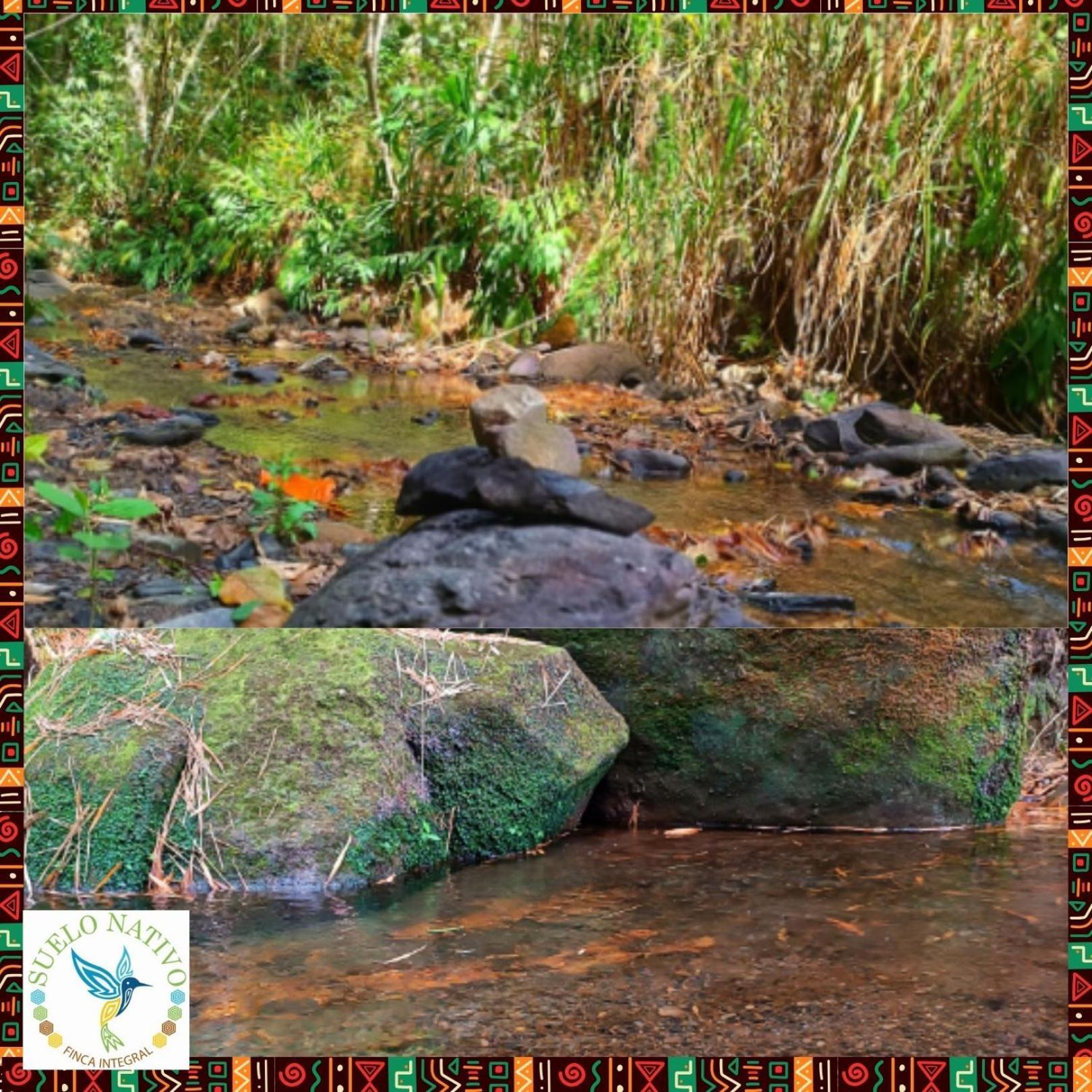 Hotel Finca Integral Suelo Natiivo "Integramos El Campo Con Tu Bienestar" Guaduas Bagian luar foto