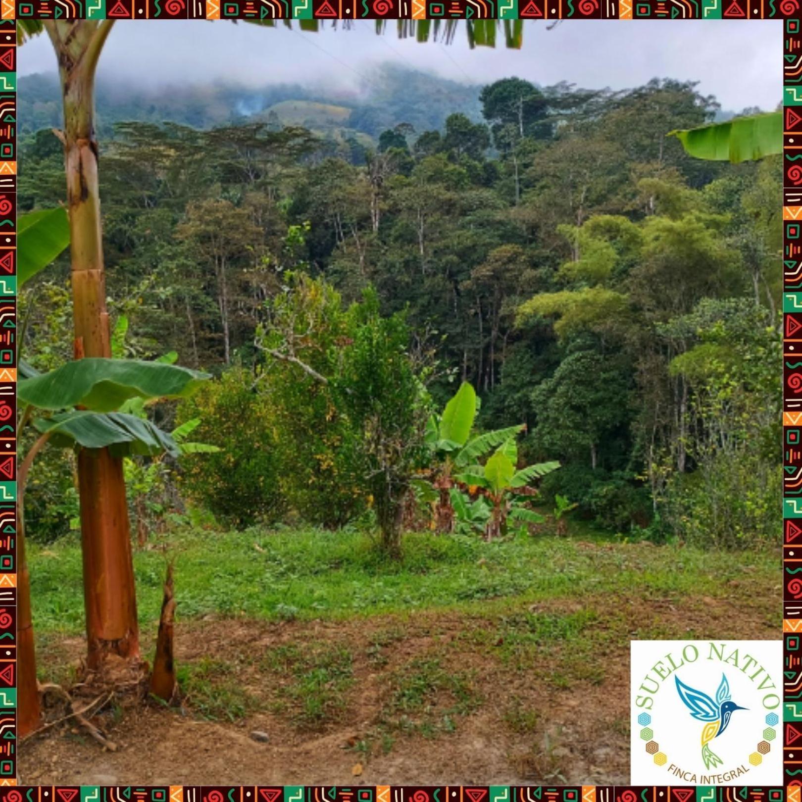 Hotel Finca Integral Suelo Natiivo "Integramos El Campo Con Tu Bienestar" Guaduas Bagian luar foto