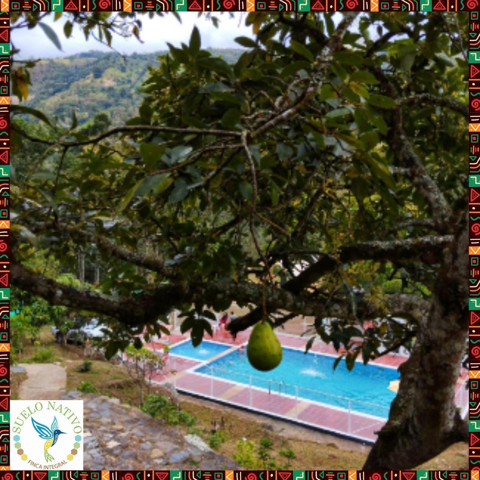 Hotel Finca Integral Suelo Natiivo "Integramos El Campo Con Tu Bienestar" Guaduas Bagian luar foto