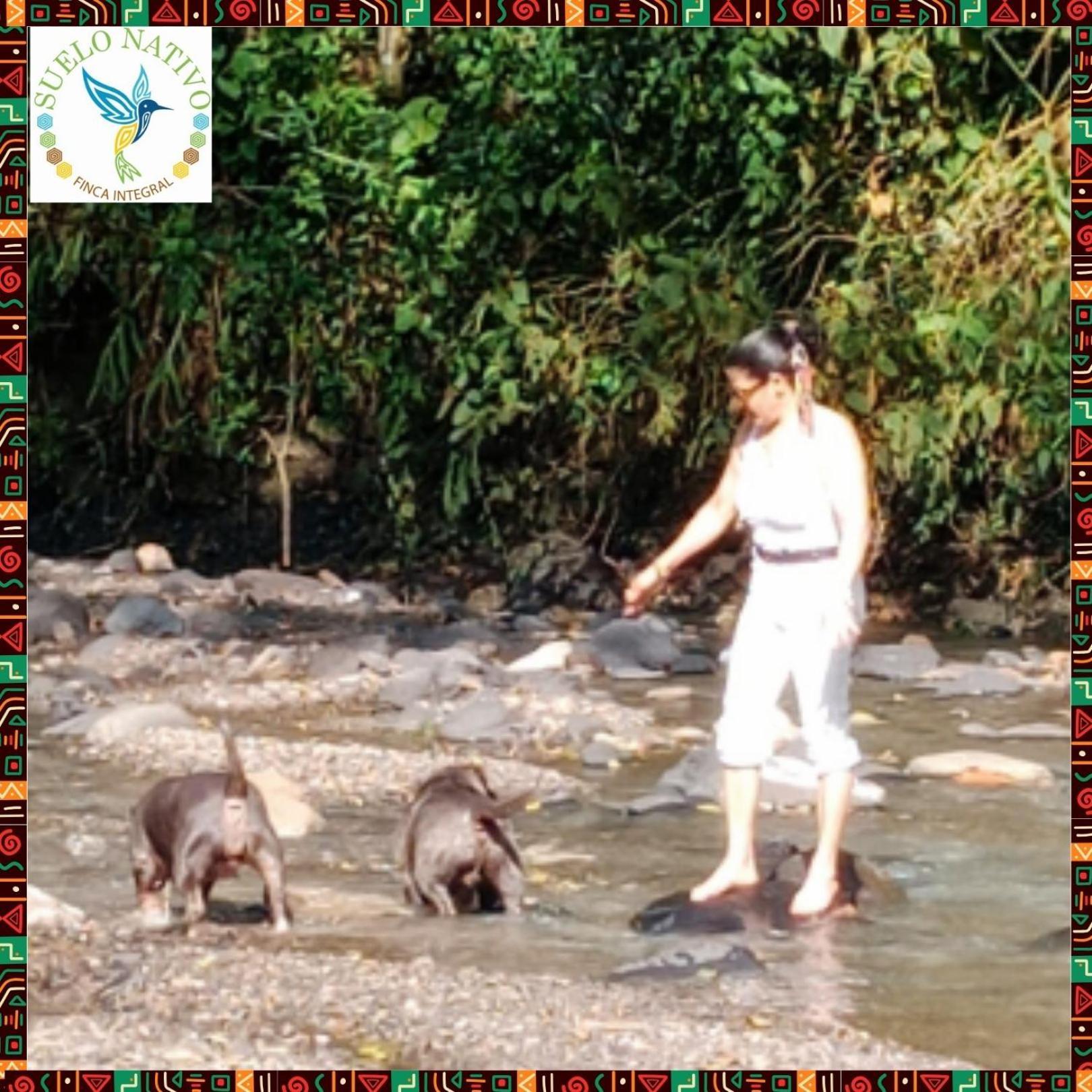 Hotel Finca Integral Suelo Natiivo "Integramos El Campo Con Tu Bienestar" Guaduas Bagian luar foto