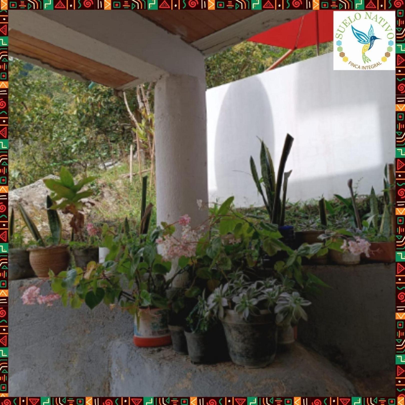 Hotel Finca Integral Suelo Natiivo "Integramos El Campo Con Tu Bienestar" Guaduas Bagian luar foto