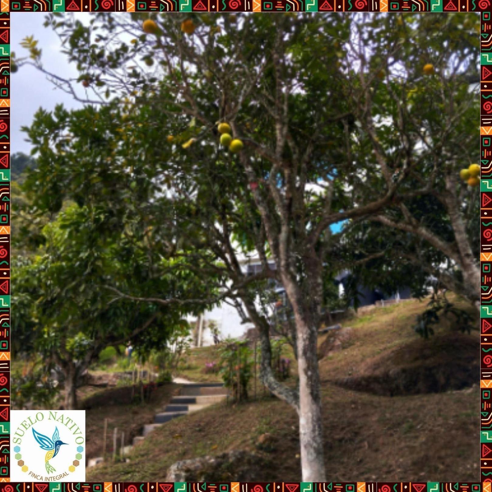Hotel Finca Integral Suelo Natiivo "Integramos El Campo Con Tu Bienestar" Guaduas Bagian luar foto
